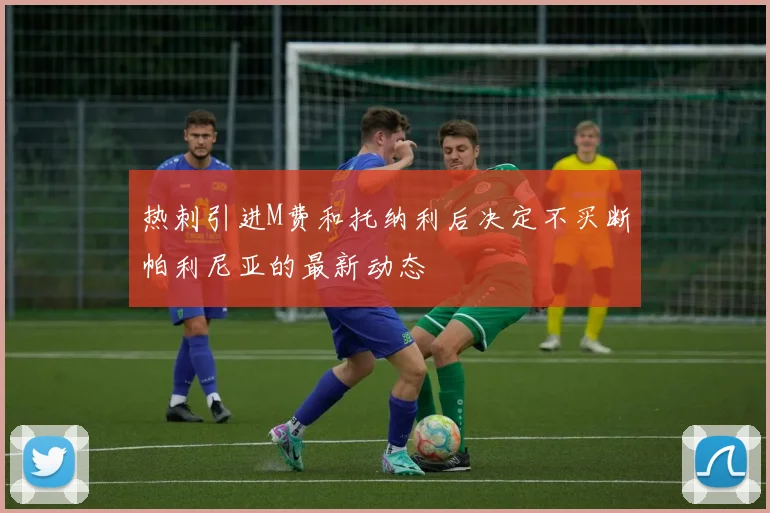 热刺引进M费和托纳利后决定不买断帕利尼亚的最新动态